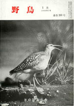 『野鳥』1969年1月号（No.268）