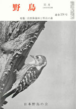 『野鳥』1969年11月号（No.278）