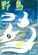 『野鳥』1971年9月号（No.300）