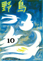 『野鳥』1971年10月号(No.301)