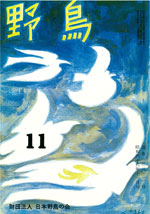 『野鳥』1971年11月号（No.302）