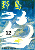 『野鳥』1971年12月号（No.303）