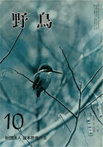 『野鳥』1972年10月号(No.313)