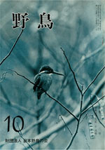 『野鳥』1972年10月号（No.313）
