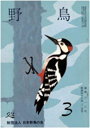 1973年3月号（No.318）表紙