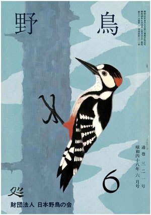 1973年6月号（No.321）表紙