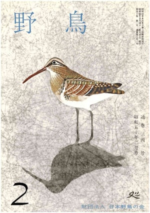 1975年2月号（No.341）表紙
