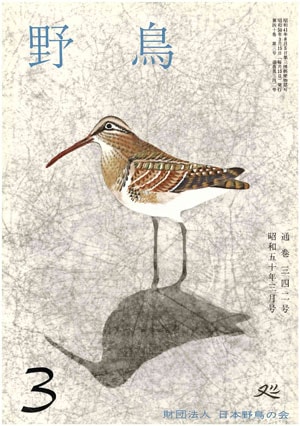 1975年3月号（No.342）表紙