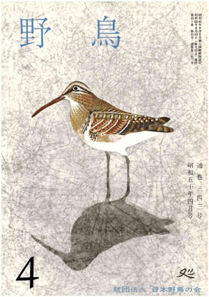 1975年4月号（No.343）表紙
