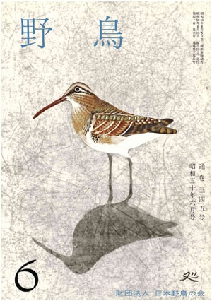 1975年6月号（No.345）表紙