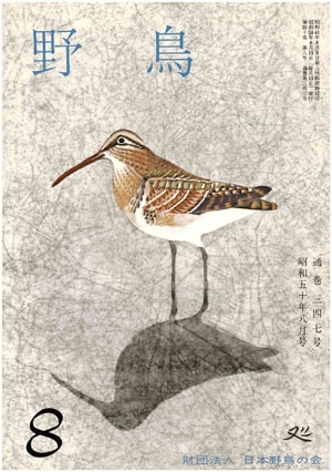 1975年8月号（No.347）表紙