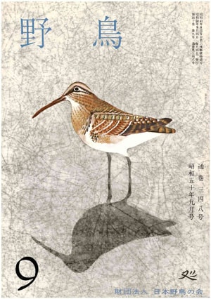 1975年9月号（No.348）表紙