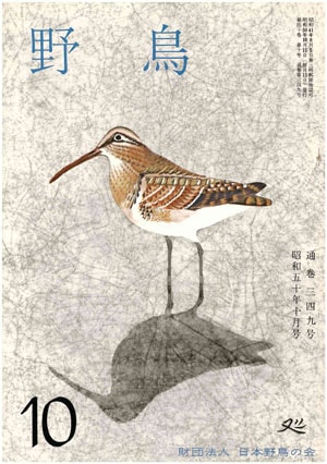 1975年10月号（No.349）表紙