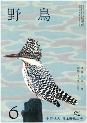 1976年6月号（No.357）表紙