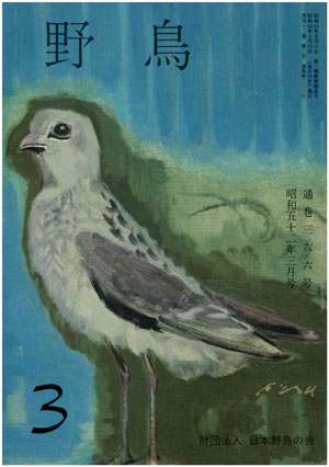 1977年3月号（No.366）表紙