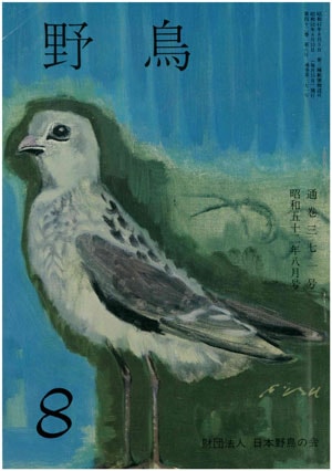 1977年8月号（No.371）表紙