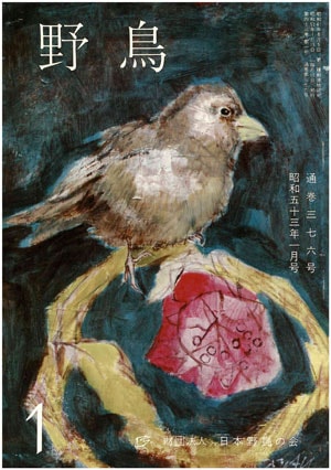 1978年1月号（No.376）表紙
