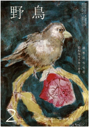 1978年2月号（No.377）表紙