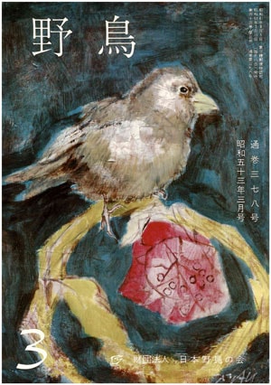 1978年3月号（No.378）表紙