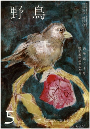 1978年5月号（No.380）表紙