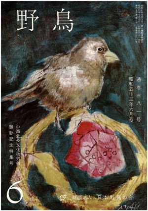 1978年6月号（No.381）表紙