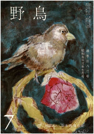 1978年7月号（No.382）表紙