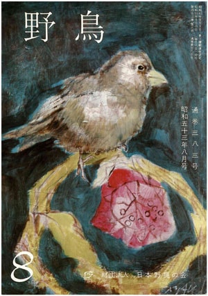 1978年8月号（No.383）表紙