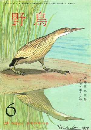 1979年6月号（No.393）表紙