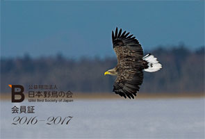 2016年の会員証写真