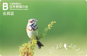 渡邊野鳥保護区ソウサンベツの写真