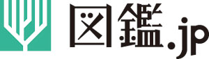山と溪谷社「図鑑.jp」ロゴ