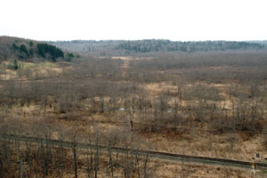 渡邊野鳥保護区別寒辺牛湿原の写真