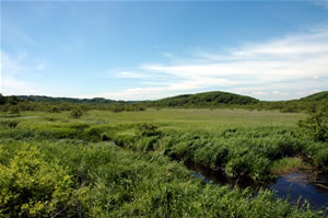 渡邊野鳥保護区温根内の写真