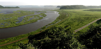 厚岸町尾幌川河口に広がる湿原の写真