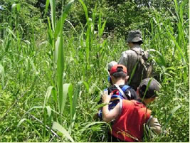 写真(1)釧路湿原観察会の様子
