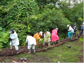 保全活動（植樹）様子
