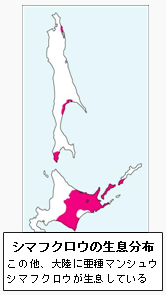 シマフクロウの生息分布