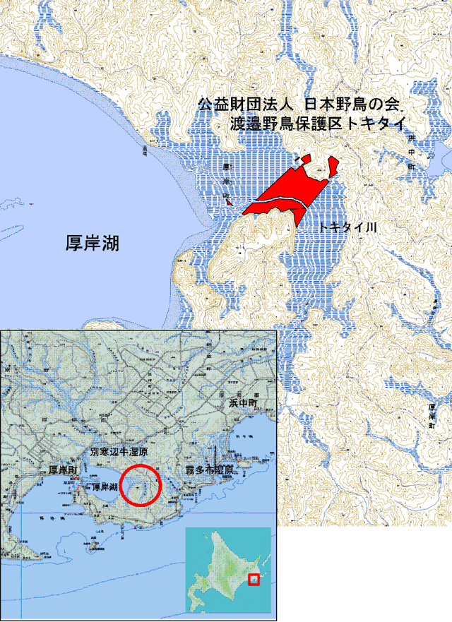 渡邉野鳥保護区トキタイの湿原とトキタイ川