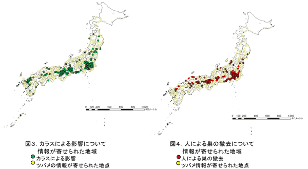 ツバメ減少の要因は、カラスによる影響、人による巣の撤去が上位に