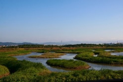 関渡自然公園訪問