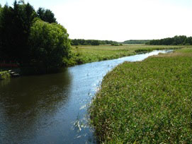 水質悪化が懸念される美々川