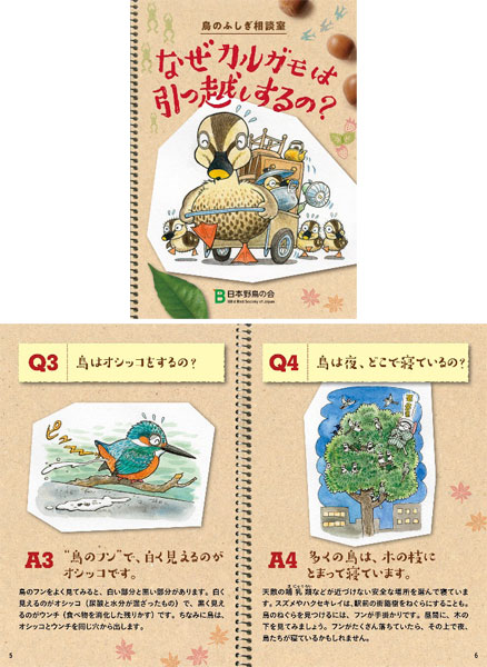 『なぜカルガモは引っ越しするの？～鳥のふしぎ相談室～』