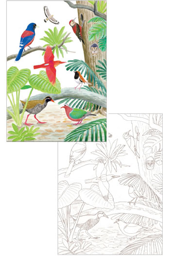 ぬりえイメージ