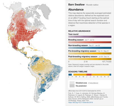 南北アメリカ大陸のツバメの個体数マップ