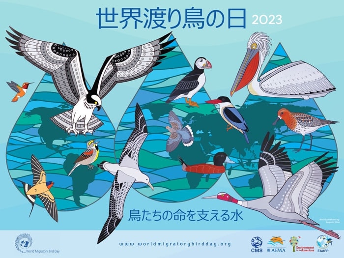 世界渡り鳥の日2023　鳥たちの命を支える水　バナー