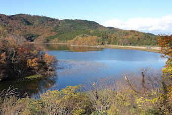 ラムサール条約湿地の大山上池・下池