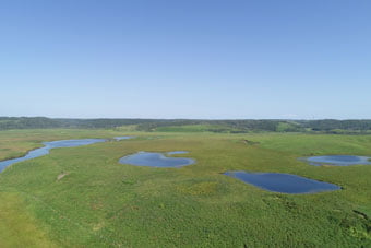 渡邊野鳥保護区フレシマ全景