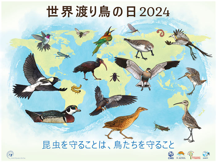世界渡り鳥の日2024　昆虫を守ることは、鳥たちを守ること　バナー