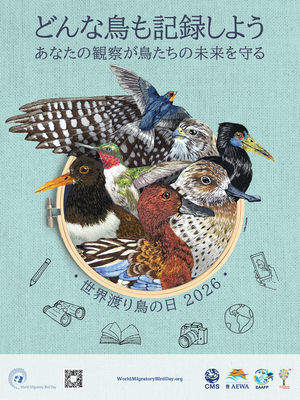 5月10日は「世界渡り鳥の日」共に生きる―鳥たちにもやさしい街と社会をつくろう バナー