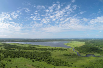 多くの渡り鳥の中継地として国際的に重要なラムサール条約湿地「ウトナイ湖」